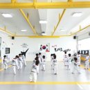 한양대 도담 태권도 이미지