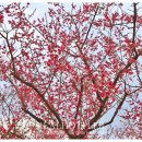 남평문씨본리세거지 주차장 안 이미지