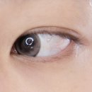 다비치안경 용암점 | 다비치렌즈 원데이 레브 그레이, 브라운 착용후기