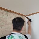 버그클리닉