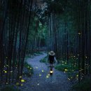 별빛은하수 이미지