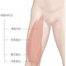 맨투맨휘트니스 이미지