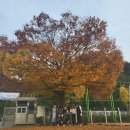 경진고등학교 이미지