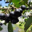 흥부네이야기 이미지