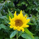 교산동 족구장 이미지