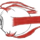 로데오안경원 이미지