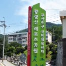 중앙레포츠 이미지