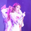 다미