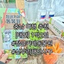 국내여행 충남 태안 1박2일 여행 추천 정글카페동물원 신두리해안사구 (각 종 소동물 만나기) 해미호떡
