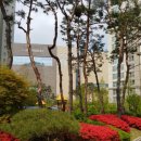 동판교공인중개사사무소 이미지