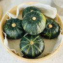 파주곳간애 이미지