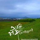 여행 기록 (3)/성산일출봉/섭지코지/광치기 해변/제주 동쪽 여행후기/1일 1캘리/5월 24일/feat, 간세