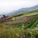 학산리농장 이미지