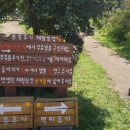 제주목장 이미지