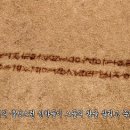 한국인들 대부분 잘모르는 생소한 신비로운 고대의 한국어 이미지