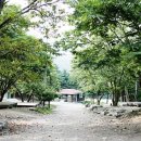 에델바이스 민박 이미지