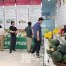 소과담