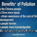 우연태양광발전소 이미지