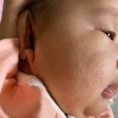 이오스타 이미지