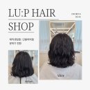 효림세탁 | 야탑역미용실, 룹헤어 분위기 바꾸고 싶을 때, '단발 히피펌' LU:P HAIR 야탑미용실