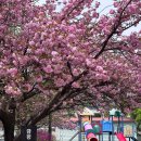 금평공원 이미지