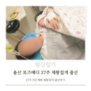 로즈메디산부인과의원 | 울산 동구 로즈메디산부인과 제왕절개 입원기간 입원비용 출산후기