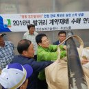 강진슈퍼 이미지