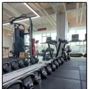 머스트 짐 이미지