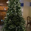 클로버 하우스 | 클로버하우스(clover house) :: 연말 데이트로 추천하는 군자 브런치 레스토랑 중곡동 신상 맛집