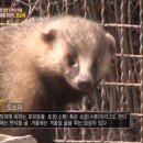 한석농장 이미지