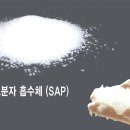욜로홀로