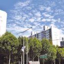 대치1-113 이미지