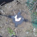 기운농장 이미지