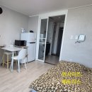 사직초교 | 청주 사직동 덕희아파트(원룸형아파트) 실거주 후기. 엘레베이터 크기, 층간소음, 지하주차장, 지상...