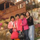 노량초등학교 이미지