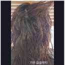 다정한결 헤어 | 세종시복구펌은 역시 새봄헤어 다정점! 극손상모 심폐소생 후기