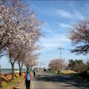 제60공원 이미지