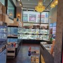 강아지분양 고양이분양 도그마루 무료 검단점 이미지