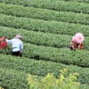 마치농장 이미지