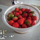 이원경내과 다이어트약 부작용 및 체중변화 후기(3일차)