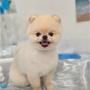와르아르 네이버블로그