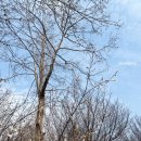 예산목장 | [예산] 우유농가 목장카페 네 번째 방문 후기