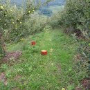 금일농장 이미지