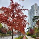 고덕로 79길 이미지