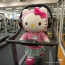 서강대학교 | 신촌필라테스 내돈내산 추천 :: 신수동 운동센터 필라테스새벽 바레, 요가까지