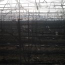 분천농장 이미지