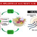 티에스(TS) 시스템 이미지