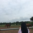 상용목장 이미지