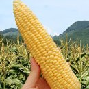 대청농협 이미지