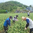 농업협동조합중앙회(창녕교육원)